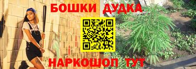 крисы Кунгур