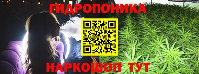 крисы Кунгур